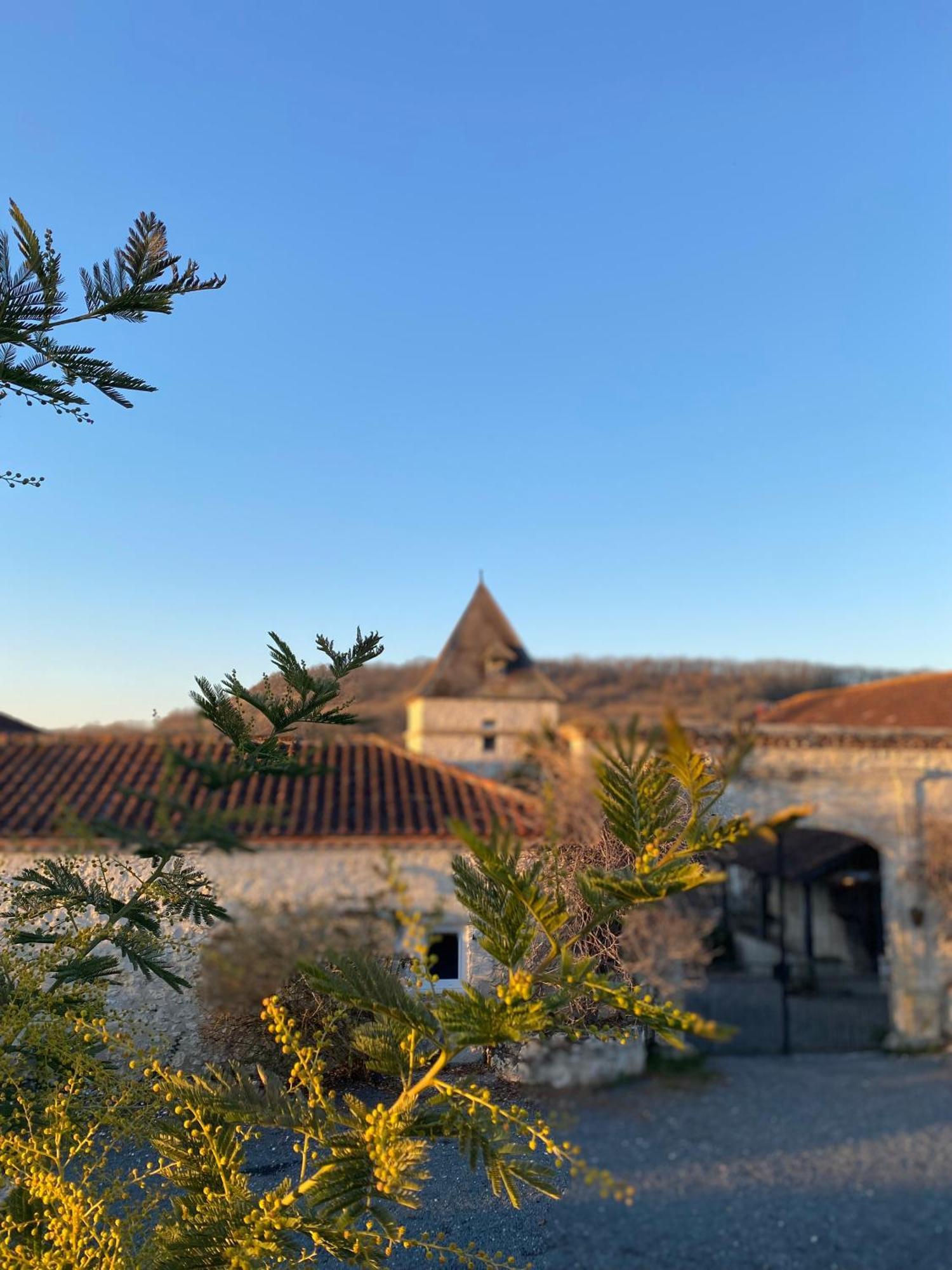 Domaine De Villot Hotel Sainte-Colombe-de-Villeneuve Exterior photo